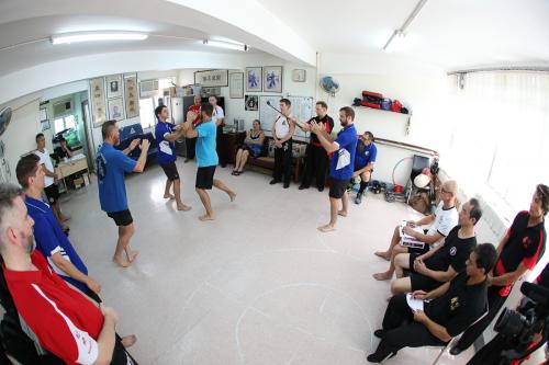 Australian Mantis Trip To Hong Kong