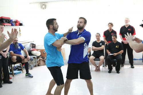 Australian Mantis Trip To Hong Kong