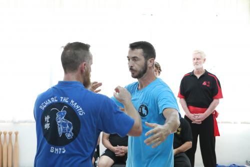 Australian Mantis Trip To Hong Kong